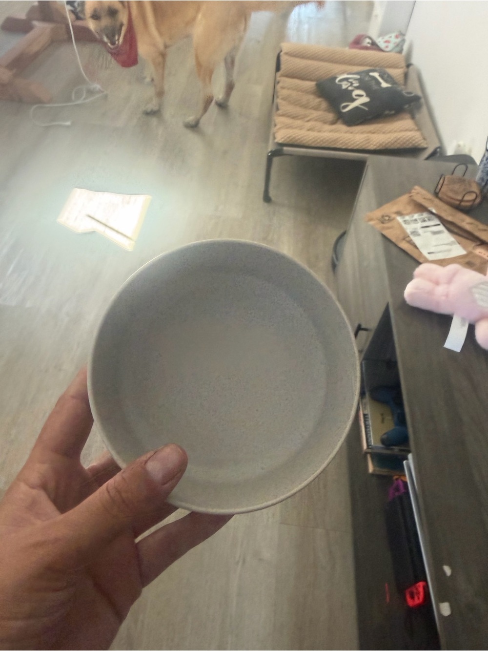 Minimalist Small Ceramic Bowl in Light Gray